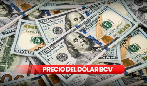 Precio del dólar BCV hoy, 26 de abril, en Venezuela. Foto: composición LR/Freepik Dólar en Venezuela, BCV, dolar paralelo, dolartoday, monitordolar