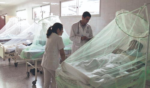 Impacto. Los casos de personas con dengue siguen en aumento debido a la presencia de zancudos portadores del mal. Foto: difusión larepublica.pe