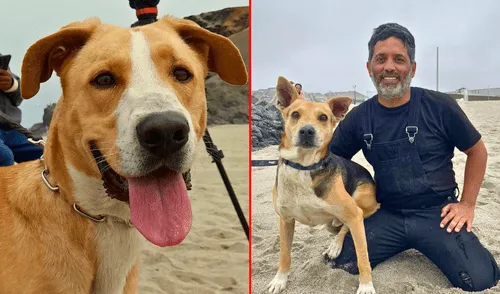 Alex Hidalgo, director de ‘Vaguito’, revela si se donará la taquilla de cinta a albergue de animales