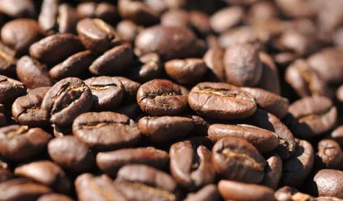 Los precios del café y el cacao han experimentado picos históricos este año. Solo el segundo llegó a cotizarse en más de US$10.000 por tonelada. Foto: Mincetur Los precios del café y el cacao han experimentado picos históricos este año. Solo el segundo llegó a cotizarse en más de US$10.000 por tonelada. Foto: Mincetur