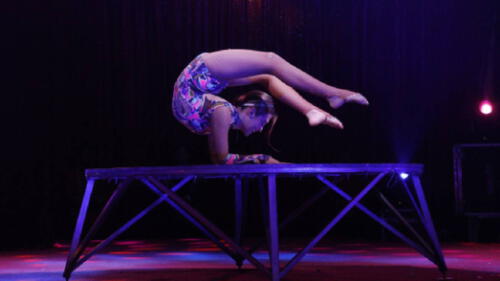 American Circus, llega con espectáculo de nombre 'Mística', con más de 50 artistas en escena. Foto: difusión American Circus, llega con espectáculo de nombre 'Mística', con más de 50 artistas en escena. Foto: difusión