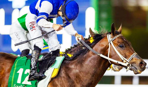 Señor Buscador competirá en la Breeders´Cup Classic a mediados de noviembre del presente año. Foto: ElPotroRoberto.com Caballo que generó más dinero en el mundo es cabalgado por jinete venezolano y se prepara volver a competir