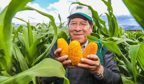 Día Mundial de la Agricultura