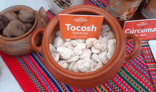 fermentación de la papa con la cual se produce el tocosh