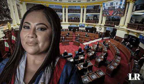 Heidy Juarez, Congreso, Mochasueldos
