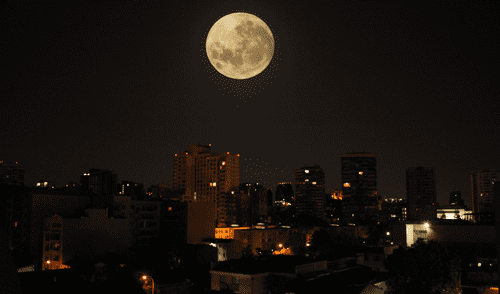 La luna llena de noviembre es conocida como Luna de castor. Foto: Alexander Fuentes / Flickr La luna llena de noviembre es conocida como Luna de castor. Foto: Alexander Fuentes / Flickr