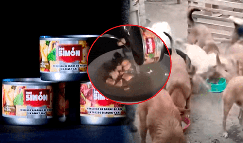 La empresa encargada de las conservas tiene reportes sobre alimentos en mal estado desde 2021. Pese a ello, el lote reportado nunca era encontrado/Composición LR Qali Warma