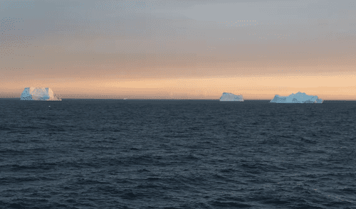 Investigadores encontraron un misterioso sonido en la Antártida, conocido como Bio-Duck, con características acústicas que podrían vincularse a la comunicación humana.