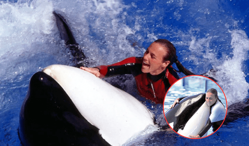 La historia de Dawn Brancheau, entrenadora de orcas, se convirtió en un símbolo de los peligros del cautiverio animal tras su trágica muerte en 2010. Foto: composición LR/The Sidney Morning /Tri County Times