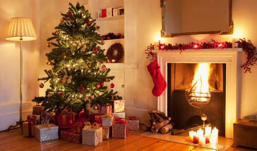 Dónde conseguir árbol de Navidad en Estados Unidos.