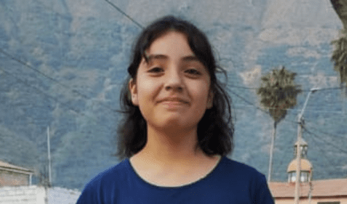 Menor fue vista cuando salía de su vivienda en San Juan de Lurigancho. Foto: Difusión Niña perdida en SJL