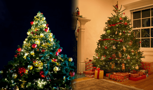 Programa especiales ofrecen árboles de Navidad gratuitos para familias con bajos recursos | Composición: Ariana Espinoza Estados Unidos, Árbol de Navidad, familias