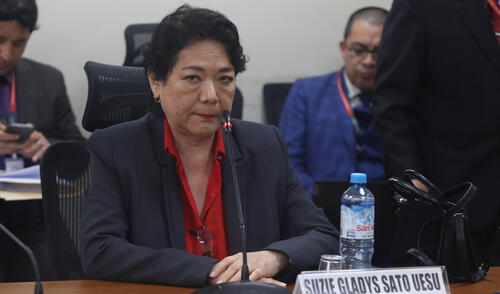 Dina Boluarte, Suzie Sato, Congreso, Comisión de Fiscalización