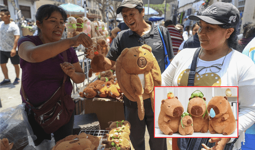 Variedad de productos de capibaras se están vendiendo en el Centro de Lima. Foto: composición LR/Andina/Gestión Variedad de productos de capibaras se están vendiendo en el Centro de Lima. Foto: composición LR/Andina/Gestión