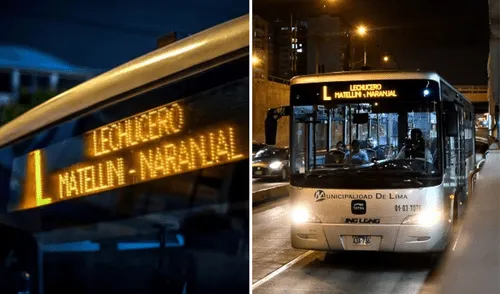 bus lechucero, Bus Lechucero, Metropolitano de Lima, Metropolitano