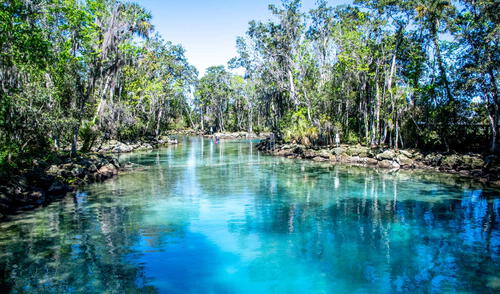 California en USA, paraíso tropical, conexión con naturaleza
