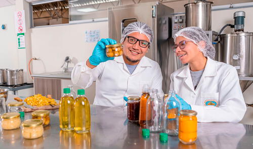 Ingenierías de alimentos