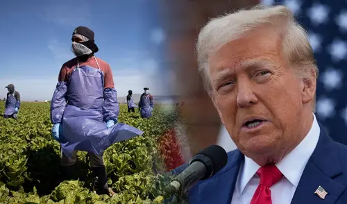Donald Trump, agricultores, primera guerra comercial, inmigrantes