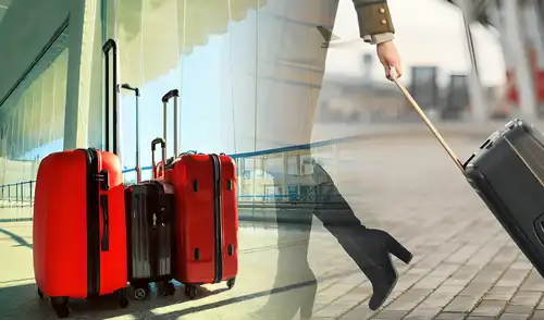 Craig enfatiza que los compartimentos de carga de los aviones y las cintas transportadoras están expuestos a polvo y bacterias