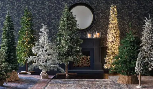 En su primer día de ventas, lograron vender seis árboles, generando optimismo por el éxito de su emprendimiento y el legado familiar que desean dejar. Foto: Hola En su primer día de ventas, lograron vender seis árboles, generando optimismo por el éxito de su emprendimiento y el legado familiar que desean dejar. Foto: Hola