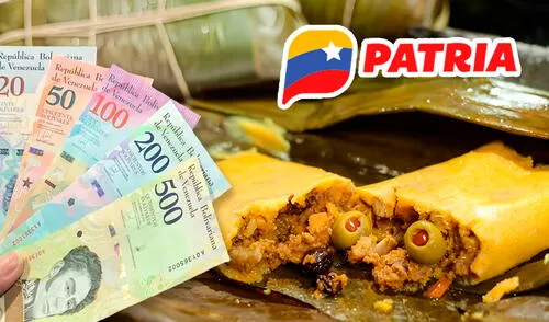 El pago del Bono Hallaquero es esperado por miles de venezolanos en diciembre de 2024. Foto: composición LR/SoyGabs/CNN/Patria Bono Hallaquero 2024