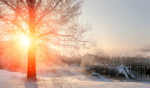 Descubre cuándo inicia el solsticio de invierno 2024 en Estados Unidos, el día más corto del año, y su impacto. Foto: Freepik solsticio de invierno 2024, invierno en Estados Unidos, cambio de hora, noche más larga, inicio del invierno