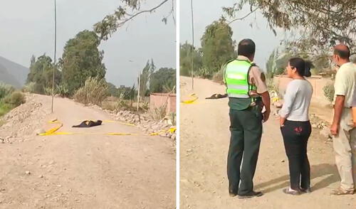 Hallan cuerpo de niño sin vida en Carabayllo