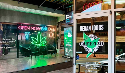 California permitirá la apertura de cafés de cannabis desde 2025, inspirándose en el modelo de Ámsterdam. Foto: Smoking Skunk / Oklahoma City California permitirá la apertura de cafés de cannabis desde 2025, inspirándose en el modelo de Ámsterdam. Foto: Smoking Skunk / Oklahoma City