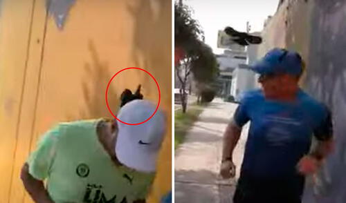 Hacen un llamado a Serfor para conocer más sobre la particularidad en el comportamiento del ave.