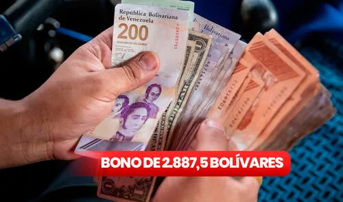 Este bono especial no llegó a través del Sistema Patria. Foto: composición LR/EFE Cestaticket Navideño 2024