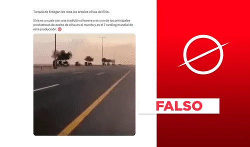 Video trata de camiones transportando árboles Ghaf hacia el país de Emiratos Árabes Unidos