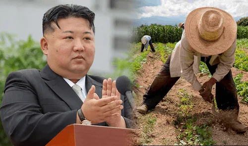 El régimen de Kim Jong-un implementa políticas extremas para combatir la baja natalidad, enviando a campos de trabajo forzado a las parejas que deciden divorciarse. Foto: AFP El régimen de Kim Jong-un implementa políticas extremas para combatir la baja natalidad, enviando a campos de trabajo forzado a las parejas que deciden divorciarse