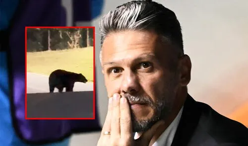 Martín Demichelis se retiró del fútbol en el año 2017. Foto: composición LR/AFP Demichelis se lleva gran susto junto a su familia tras presenciar a oso en patio de su casa