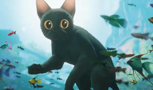 Descubre dónde ver ''Flow', la película ganadora a un Golden Globe.