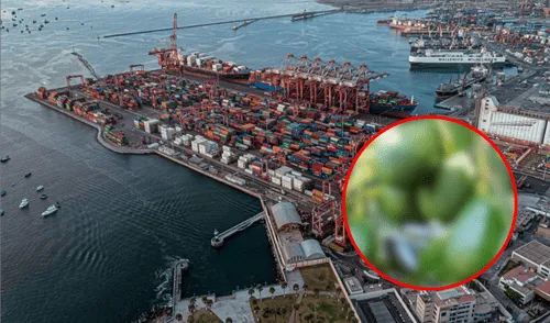 Chancay y San Antonio de Chile tienen los principales puertos sudamericanos del Pacífico.