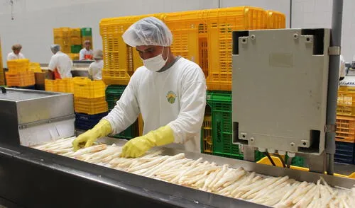 Agro tradicional y agroindustria reportaron resultados favorables Agro tradicional y agroindustria reportaron resultados favorables