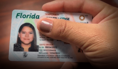 Licencia de conducir en Florida