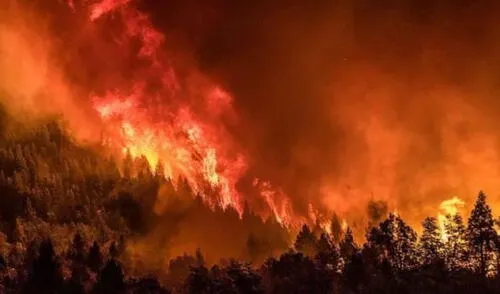 Incendio forestal en la Patagonia de Argentina arrasa más de 3.000 hectáreas en el Parque Nahuel Huapi