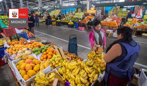 El consumo de frutas de temporada puede ayudar a los peruanos durante el verano. Foto: Midagri/Andina