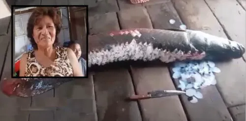 Dueña se mostró sorprendida por el enorme paiche. Dueña se mostró sorprendida por el enorme paiche.