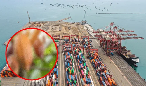 El sector minero y agropecuario lideraron las exportaciones en Perú en 2024. Foto: composición LR/Andina exportación de cacao en Perú