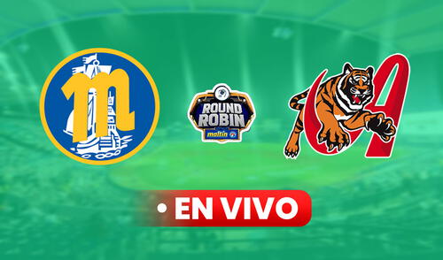Navegantes del Magallanes vs Tigres EN VIVO