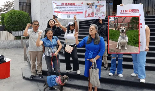 Se le acusa a la abogada por el delito de abandono y crueldad animal. Foto: composición LR. abogada que atropello a un perro sera enjuiciada con hasta de 3 años de prisión