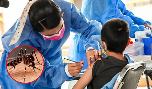 La amenaza del dengue en Perú se intensifica con 1.314 contagios reportados en la primera semana de 2025. Foto: composición LR/Minsa Reportan casos de dengue en menores del Perú