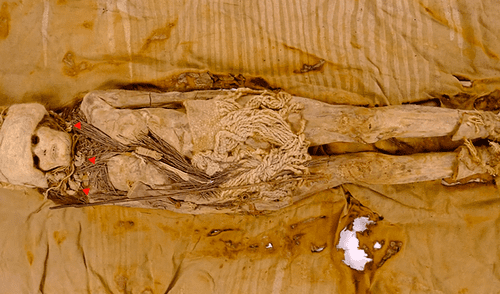 Descubrimiento de queso de 3.600 años en momias de la cuenca del Tarim revela secretos de la antigua producción láctea. Foto: 20 Minutos Queso de 3.600 años hallado en momias revela secretos lácteos antiguos.