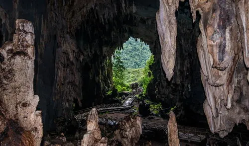 Parque Nacional de Tingo María, Huánuco. larepublica.pe