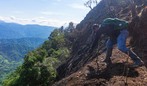 Tierra seca. Zonas altas de Piura recuperarán su cobertura vegetal y así se evitarán huaicos. larepublica.pe