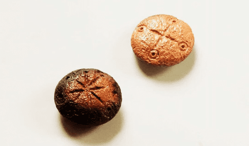 Fichas de un juego de estrategia militar llamado latrunculorum encontradas en Adrianópolis, Turquía.