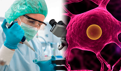 Científicos descubren que un medicamento aprobado por la FDA es capaz de retrasar el avance del Parkinson.