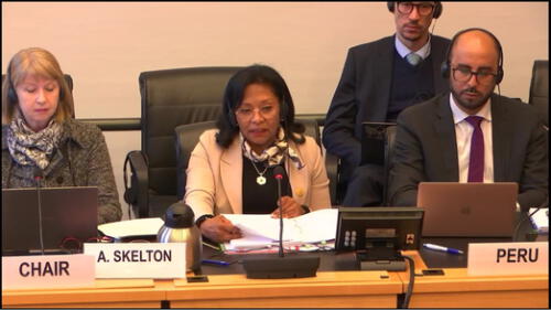 ONU cuestionó a la ministra de la Mujer sobre los proyectos de ley que aprobó el Congreso: Foto: Difusión ONU cuestionó a la ministra de la Mujer sobre los proyectos de ley que aprobó el Congreso: Foto: Difusión